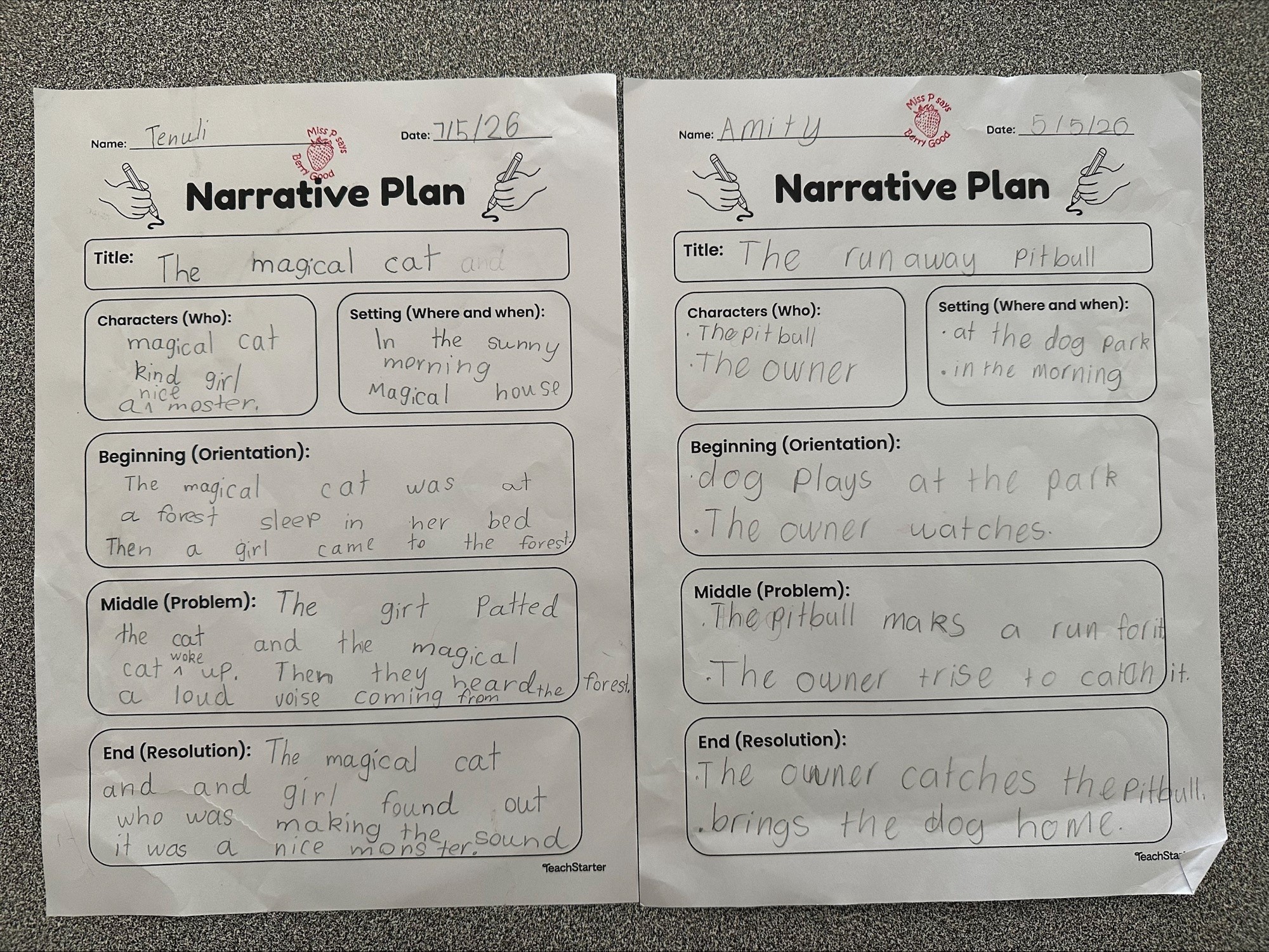 Narrative Writing Plan Examples E-news Web